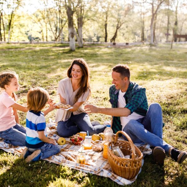 Lifestyle Tips for a Balanced Life | Healthy Habits for Everyday Living