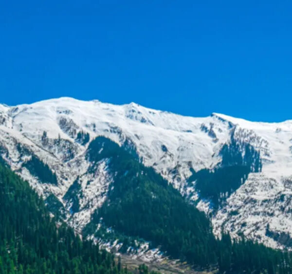 Kashmir Tour Packages vs Ladakh Tour Packages: Which to Choose? Read This Before You Book